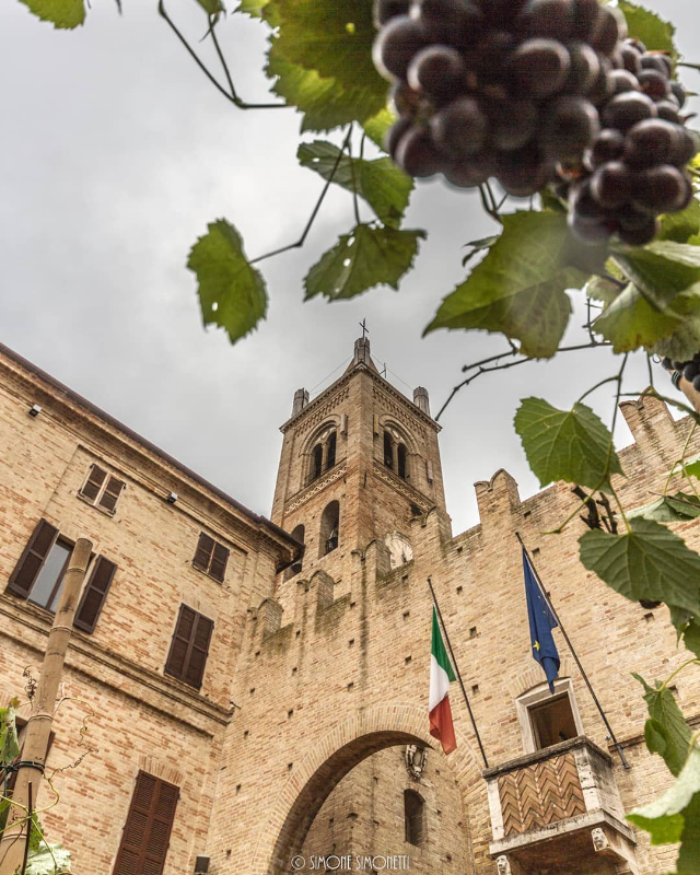 La foto vincitrice di #montecassianophotowalk di Simone Simonetti