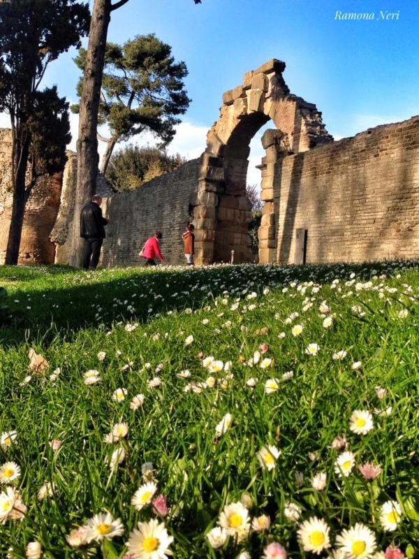 mura augustee di Fano con un arco e un prato fiorito