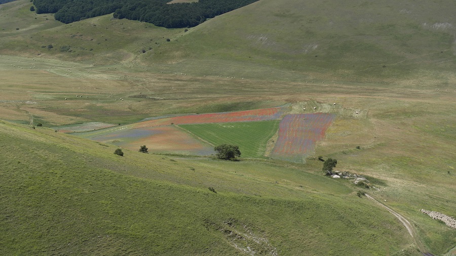 Sibillini-Piana-di-castelluccio-in-moto